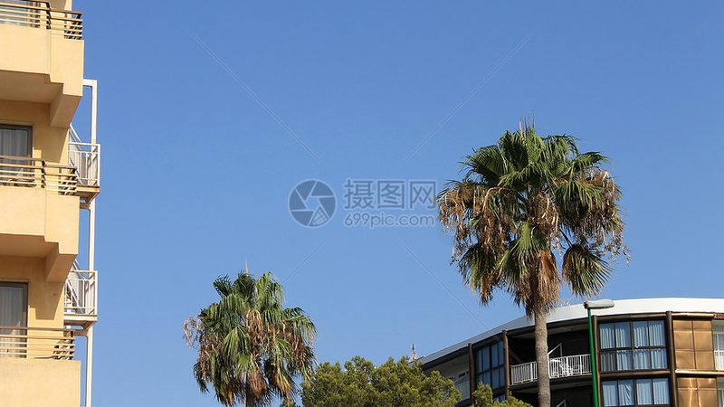 邮轮自由行攻略：轻松开启海上之旅